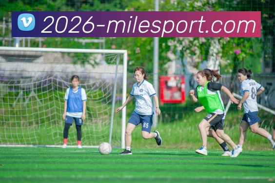 米乐体育APP 封面图